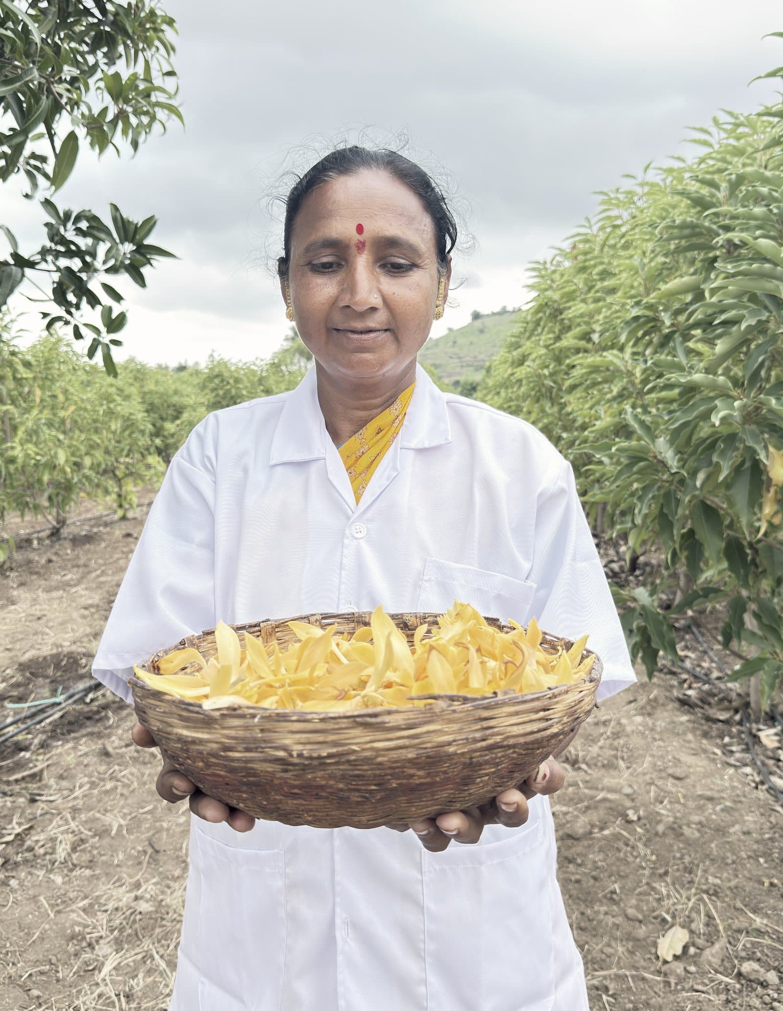 A member of the harvest team holding the morning’s blooms